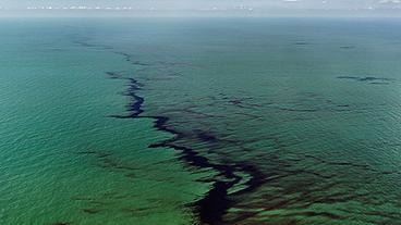 Aus der Serie "Oil": Ölteppich am Golf von Mexiko