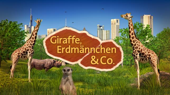 Giraffe, Erdmännchen & Co.