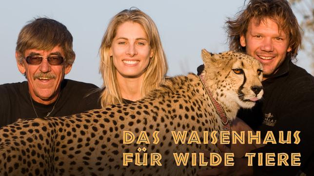 Das Waisenhaus für wilde Tiere