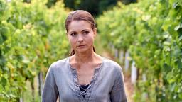 Anne (Henriette Richter-Röhl) ist bereit, zum Weingut Wader zurück zu kommen.