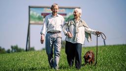 Das Gästepaar Hans (Hark Bohm) und Margarethe Bosch (Christine Ostermayer) führt Ferkel Constanze aus.