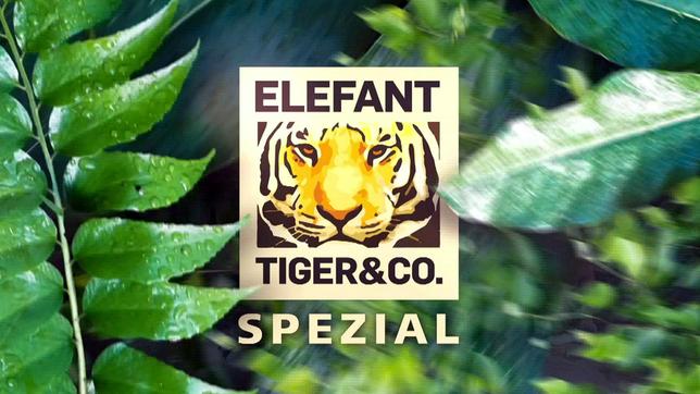 Elefant, Tiger & Co.