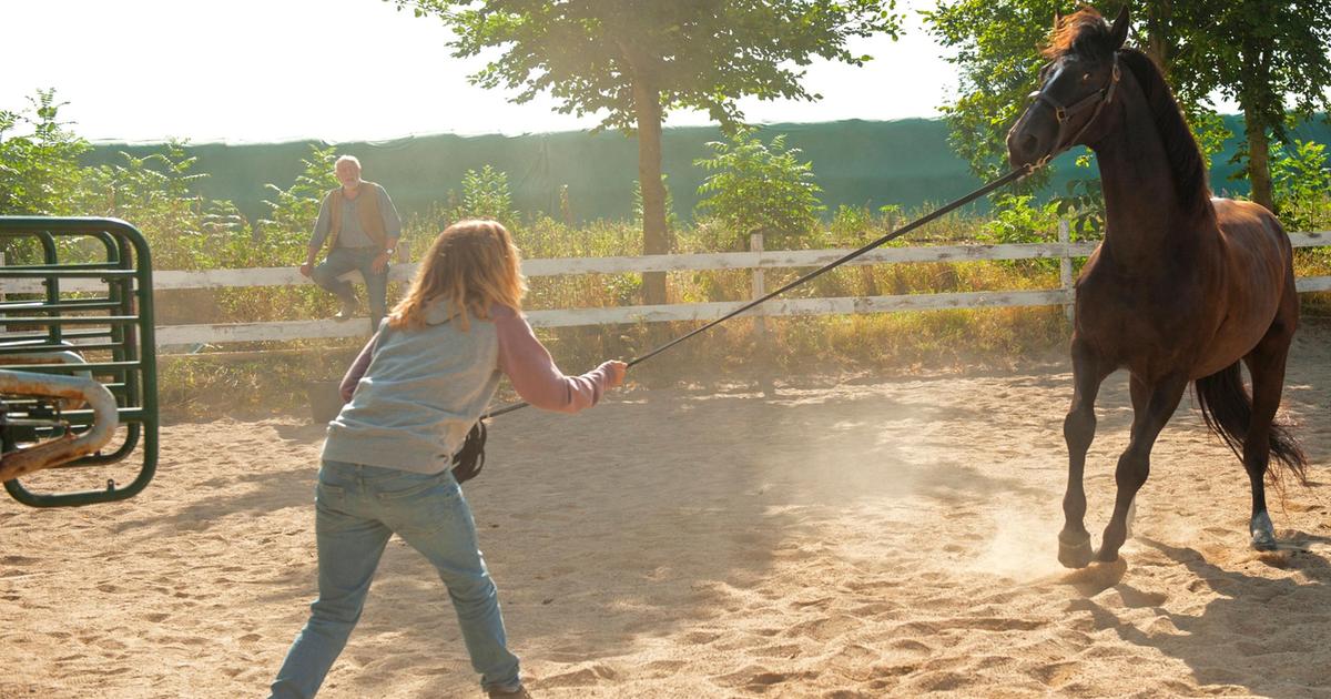 Boris Schonfelder Filme Im Ersten Ard Das Erste