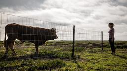 Livia (Ulrike C. Tscharre) entdeckt einen Stier.