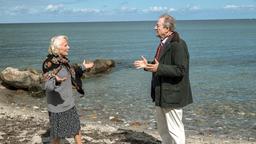 Marion von Brede (Marie Anne Fliegel) und der Inselanwalt Heiko Welting (Gerhard Garbers) streiten sich über alte Zeiten.