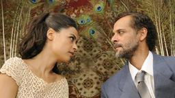 Miral (FreidaPinto) und Jamal (AlexanderSiddig)