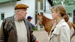 Reitlehrer Jürgen (Martin Lüttge) erklärt Katja (Muriel Baumeister), dass das Pferd ihres Sohnes ein hoffnungsloser Fall ist.
