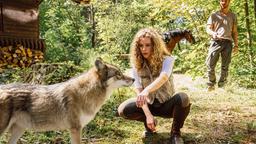 Rike (Klara Deutschmann) begegnet dem Wolf. Moritz (Max Woelky) gibt ihr Verhaltenstipps.