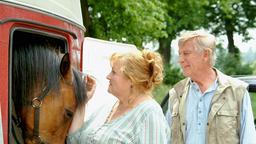 Tierarzt Rafael (Siegfried Rauch) vertraut Antonia (Marianne Sägebrecht) ein krankes Pferd an.