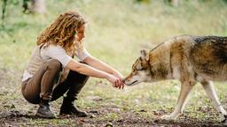 Rike (Klara Deutschmann) trifft im Wald auf den Wolf.