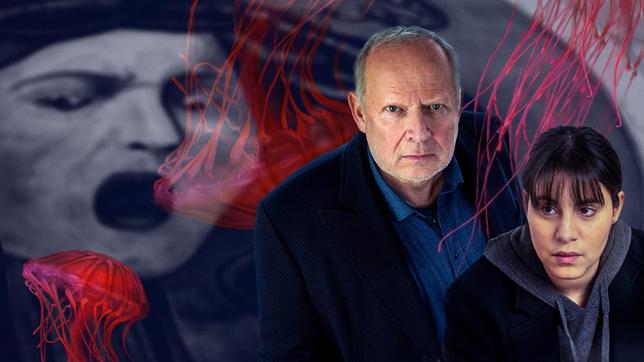 Das Cover zum Tatort "Borowski und das Haupt der Medusa".