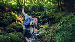 Nina (Pina Bergemann) und Sven (Benjamin Lillie) kämpfen sich durch den Wald.