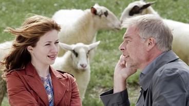Nora und Jon umringt von neugierigen Schafen
