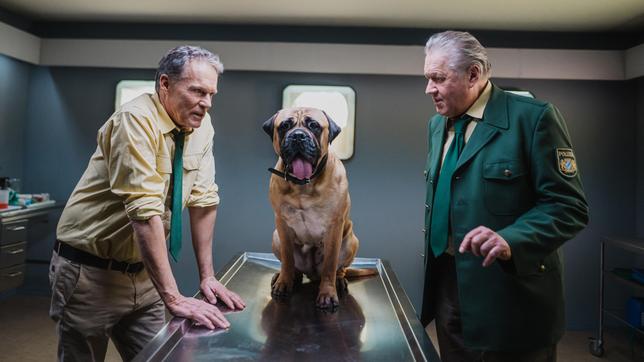 Hubert (Christian Tramitz) und Girwidz (Michael Brandner) treten auf der Stelle. Wie finden sie nun die verschwundene Leiche? Spürhund "Otto" soll das Problem lösen.