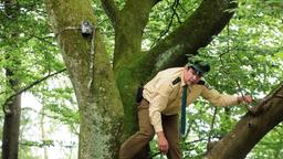 Um an die Wildkamera zu kommen, muss Riedl (Paul Sedlmeir) sich auf den Baum wagen.