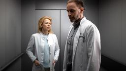 Dr. Ina Schulte (Isabell Gerschke) soll die neue Gynäkologin in der Sachsenklinik werden. Doch der Chefarzt Dr. Kai Hoffmann (Julian Weigend) ist nicht begeistert, dass Ina ausgerechnet an "seiner" Klinik anfangen will.
