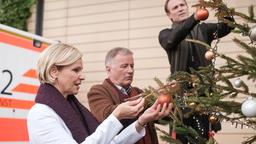 Dr. Roland Heilmann (Thomas Rühmann, mi.) und Dr. Martin Stein (Bernhard Bettermann, re.) haben den letzten großen Weihnachtsbaum ergattert. Doch Dr. Kathrin Globisch (Andrea Kathrin Loewig, li.) stellt fest, dass er kaum noch Nadeln an den Ästen hat.