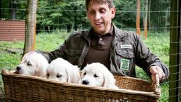 Chef-Tierpfleger Conny Weidner (Thorsten Wolf) freut sich über die drei Findelkinder: Doch wie geht es mit den kleinen Rackern weiter? Im Zoo dürfen sie leider nicht bleiben.