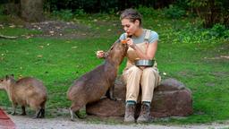 Fütterungszeit bei den Capybaras: Die junge Studentin Luisa (Lilly Wiedemann) und Tochter von Dr. Susanne Mertens bei ihrer täglichen Arbeit im Leipziger Zoo.
