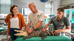 V.l.n.r.: Dr. Susanne Mertens (Elisabeth Lanz), Tierpfleger Marco (Komparse) und Cheftierpfleger Conny Weidner (Thorsten Wolf) sorgen sich um die trächtige Krokodildame Bianca.