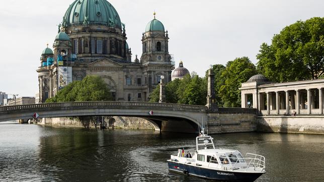 Die Silbermöwe vor dem Berliner Dom. 