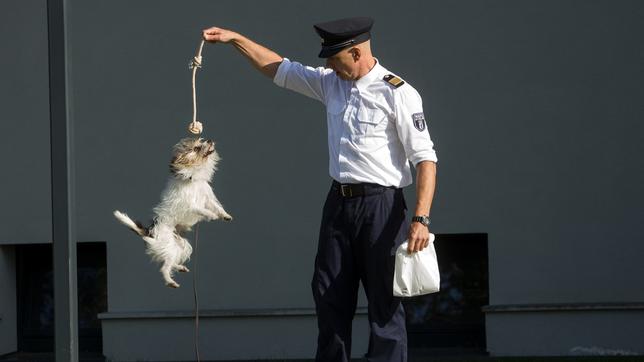 Ein eingespieltes Team: Christoph Grunert mit WaPo-Hund Stulle bei einer Probe vor der Wache.