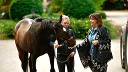 Alma Bading (Despina Pajanou), langjährige Stallmeisterin der Guldensteins, hätte großes Interesse mitzubestimmen, wer künfig das Gestüt leitet (mit Komparsin).