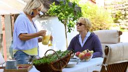 Das Frühstück von Mechthild Fehrenbach (Diana Körner) mit ihre Tochter wird unterbrochen. Denn Nele Fehrenbach (Floriane Daniel) hat einen neuen Fall. Eine Zahnärztin wurde ertrunken im Bodensee gefunden. Die Ermittlungen führen zu ihrem Ehemann.