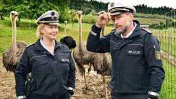 Ermittlungen auf der Straußenfarm: Nele (Floriane Daniel) und Andreas Rambach (Ole Puppe).