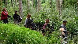 V.l.n.r.: Nele Fehrenbach (Floriane Daniel), Timo Gruber (Thimo Meitner mit Komparsin), Frauke Singer (Anjorka Strechel) und Dr. Johannes Ringwald (Ingo Abel) auf dem Weg zu dem geheimen Ort im Wald, an dem die ominösen Therapiestunden stattfinden.