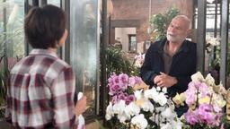 Walter (Ludger Burmann) will Merle (Anja Franke) davon überzeugen, dass sein Wunsch, auf ihren Hof zu ziehen, nichts mit seinem Werben um sie zu tun hat.