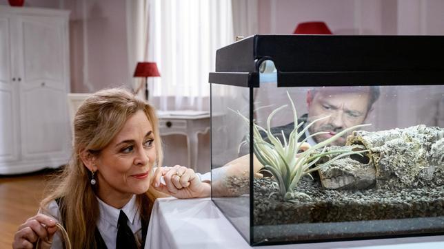 Als Erik (Sven Waasner, hinten r. mit Tanja Lanäus) sich um das Terrarium kümmert, glaubt er, dass die Spinne ausgebrochen ist.