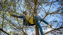 Henry (Elias Reichert) droht, vom Baum zu stürzen.