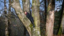 Um sich vor den Wildscheinen in Sicherheit zu bringen, rettet Lia (Deborah Müller) sich auf einen Baum.