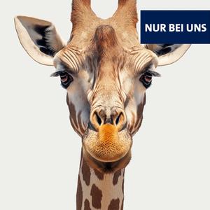 Giraffe - Das schwulste Tier der Welt?